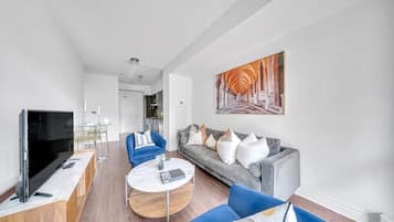 55-inch LED TV with satellite channels