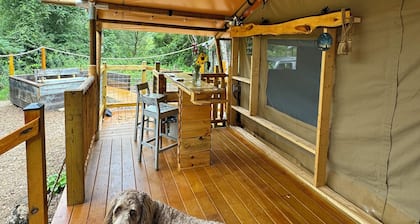 Experience nature, right by Hillsville, Va. a few ft from a stocked creek.