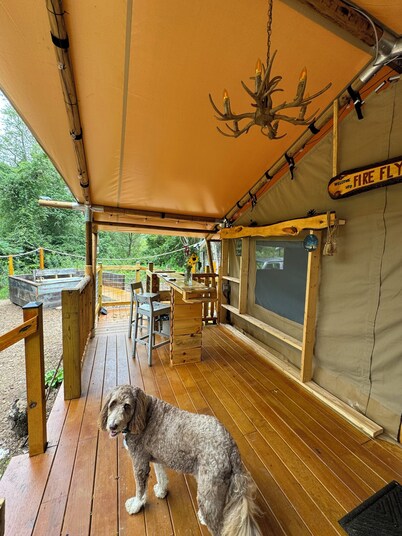 Experience nature, right by Hillsville, Va. a few ft from a stocked creek. 