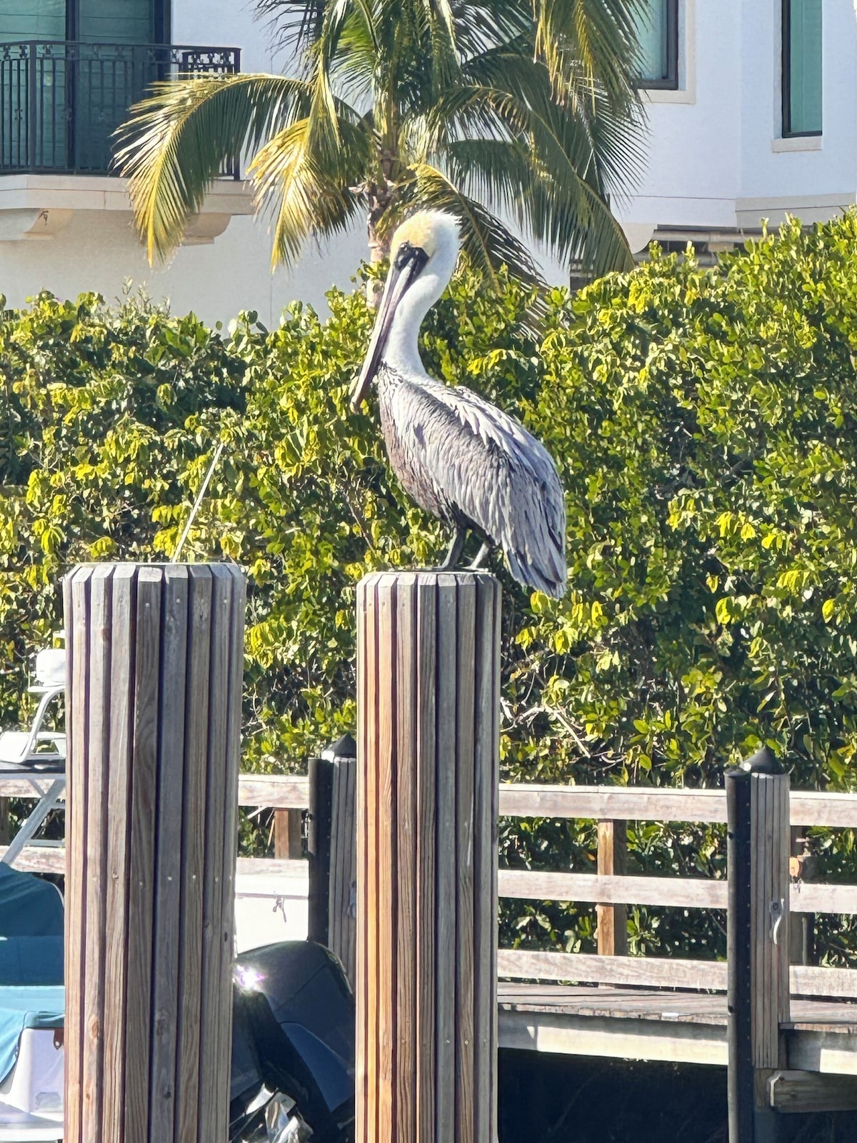 Photo 9 of Naples Beautiful Waterfront 2/2 Condo.