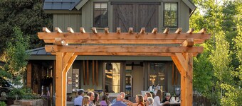 Academy Place | Marsh Marigold