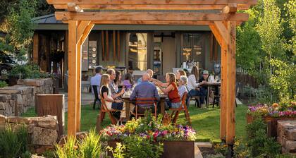 Academy Place | Marsh Marigold