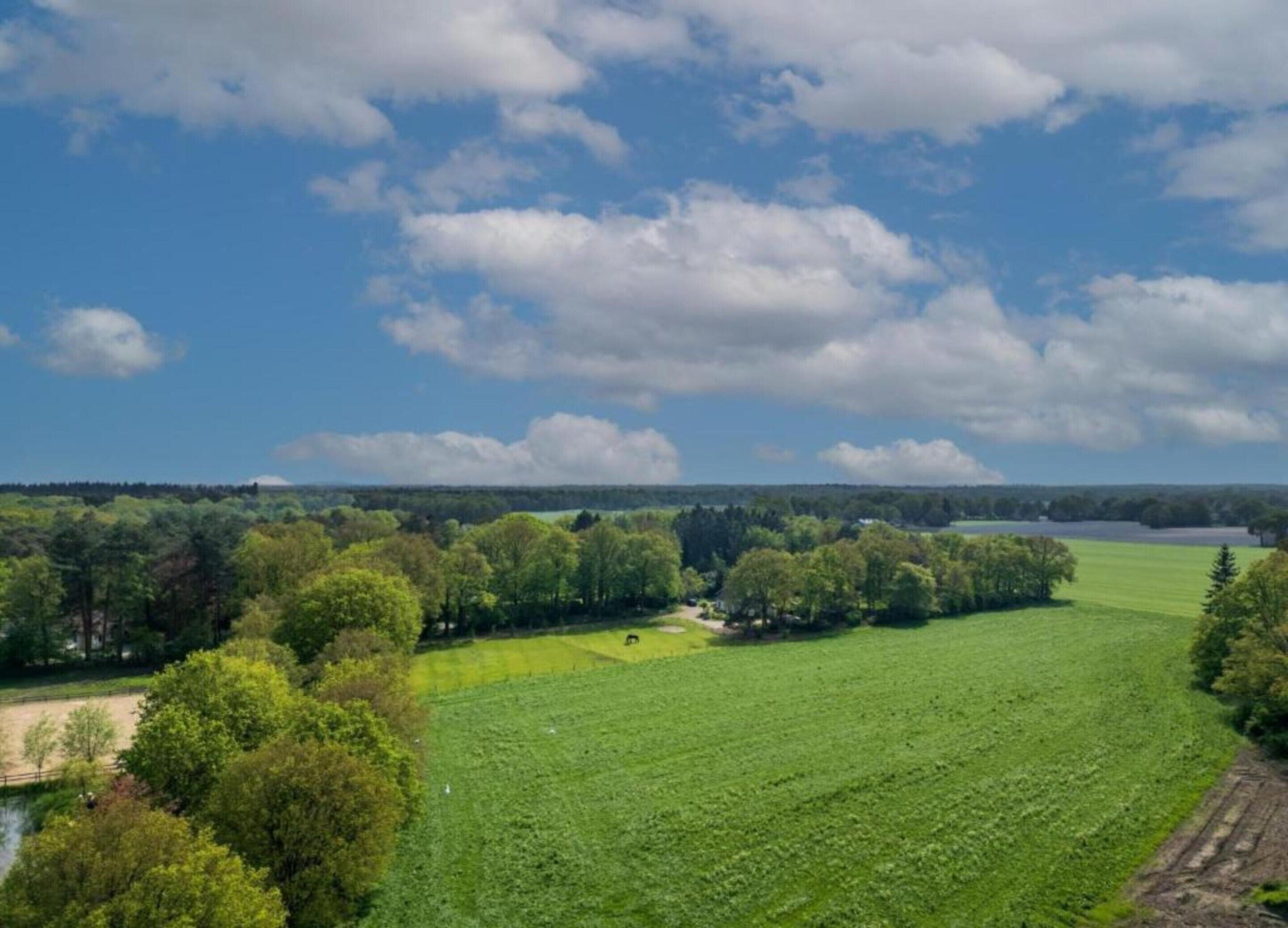 A rural landscape with a large green field, a body of water, and a forested area.