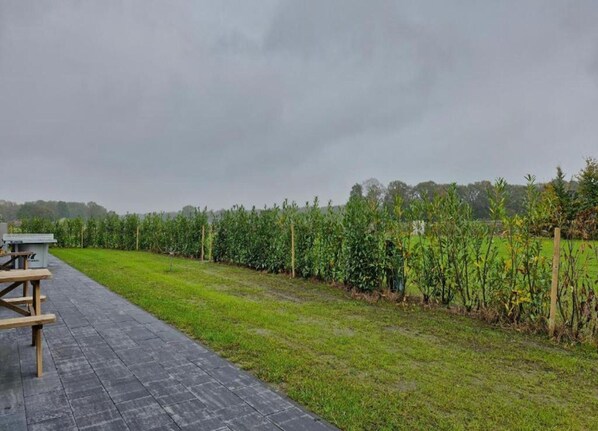 A paved pathway leading through a field with a row of corn plants and a small structure on the left.