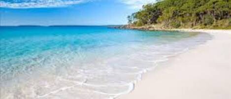 بالقرب من الشاطئ