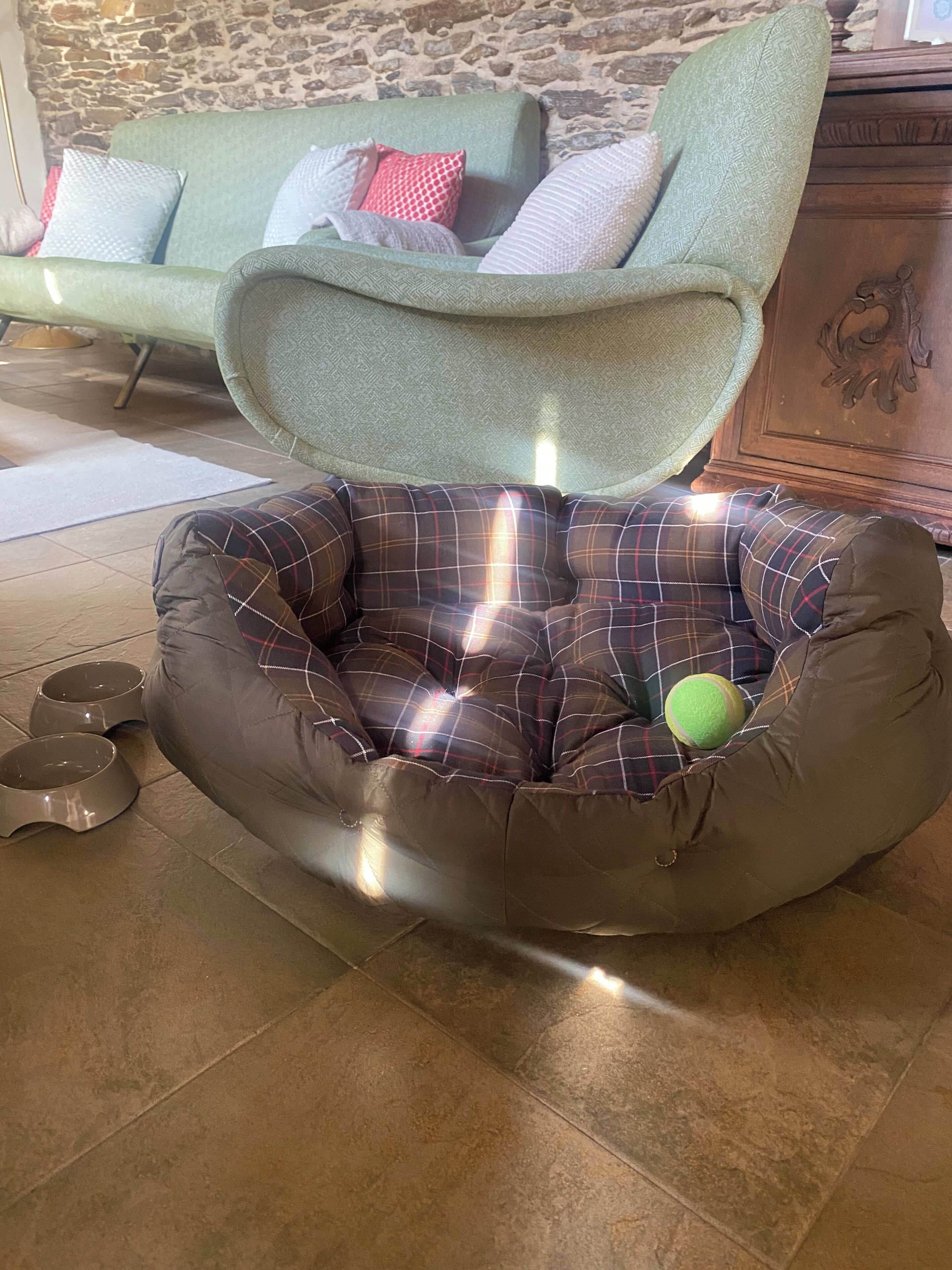 Tiện nghi, dịch vụ cho vật nuôi