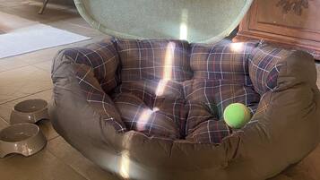 Tiện nghi, dịch vụ cho vật nuôi