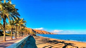 Ein Strand mit Palmen und einer Steinmauer.
