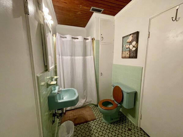 A bathroom with a sink, toilet, and shower curtain.