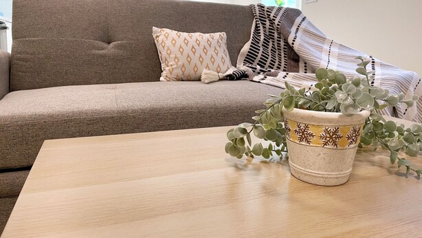 A living room with a sofa, a coffee table, and a potted plant.