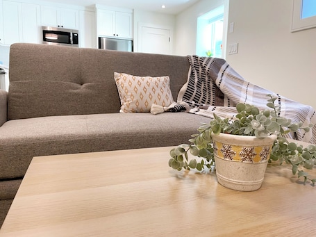 Smart TV, books. Brand new private suite in willoughby