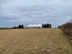 Eksteriør