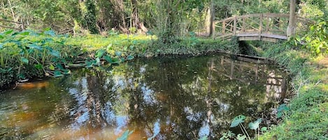 Boendeområde