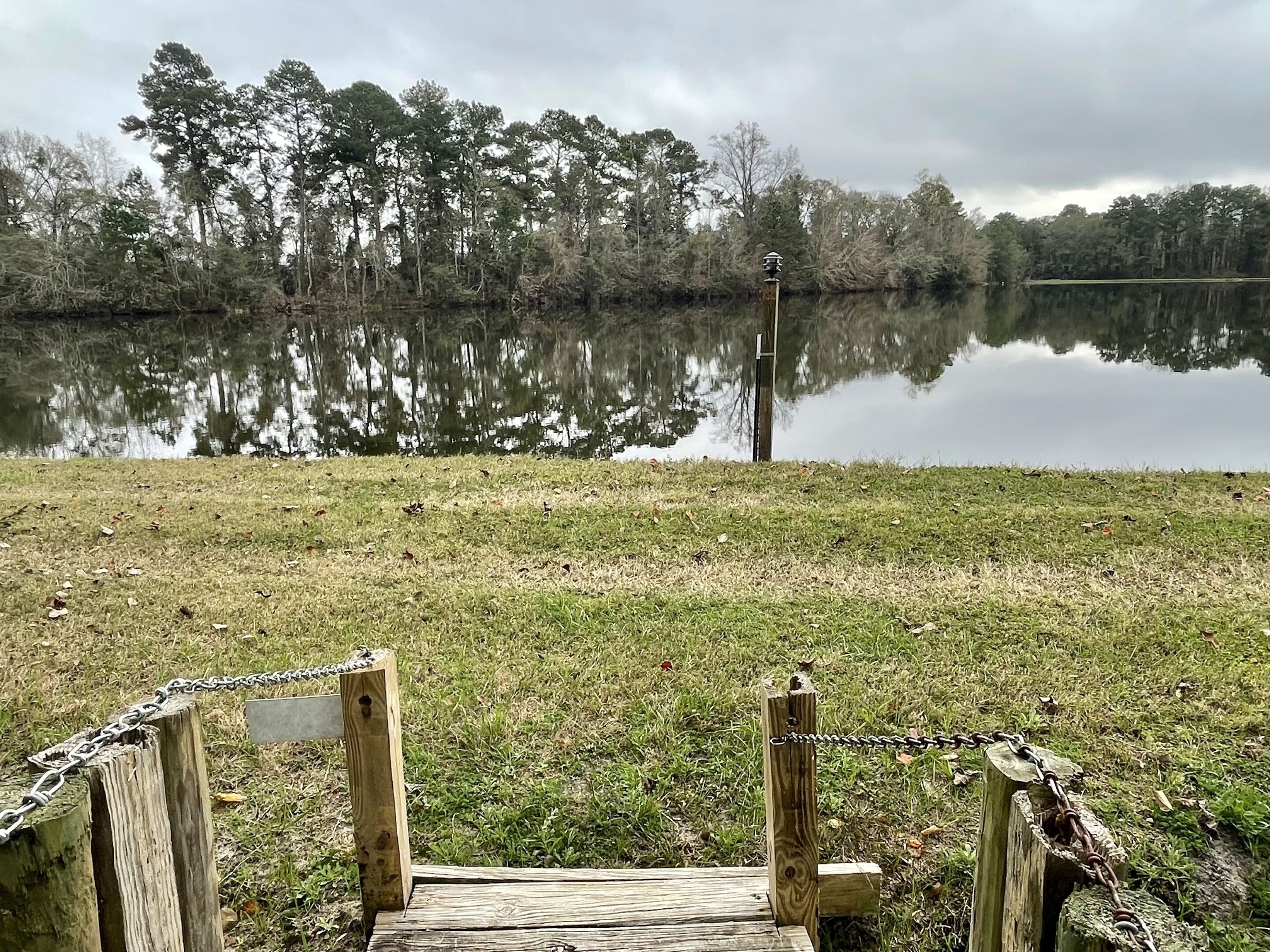 Une jetée en bois qui s’avance sur un lac paisible, entouré d’arbres.