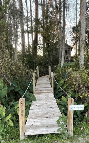 Row Cottages Mossy Oak Cottage