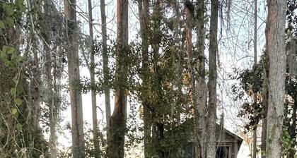 Row Cottages Mossy Oak Cottage