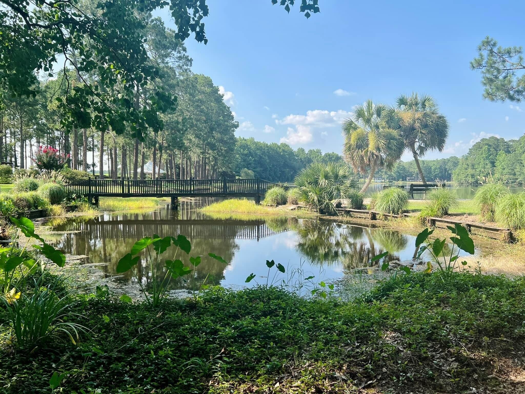 Ein friedlicher Teich mit einer Holzbrücke, umgeben von üppigem Grün und Bäumen.