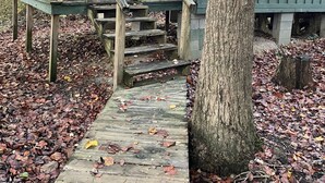 A rustic cabin with a wooden staircase leading to a door, surrounded by trees and fallen leaves. - Row Cottages Redbud Cottage (Hartsfield)