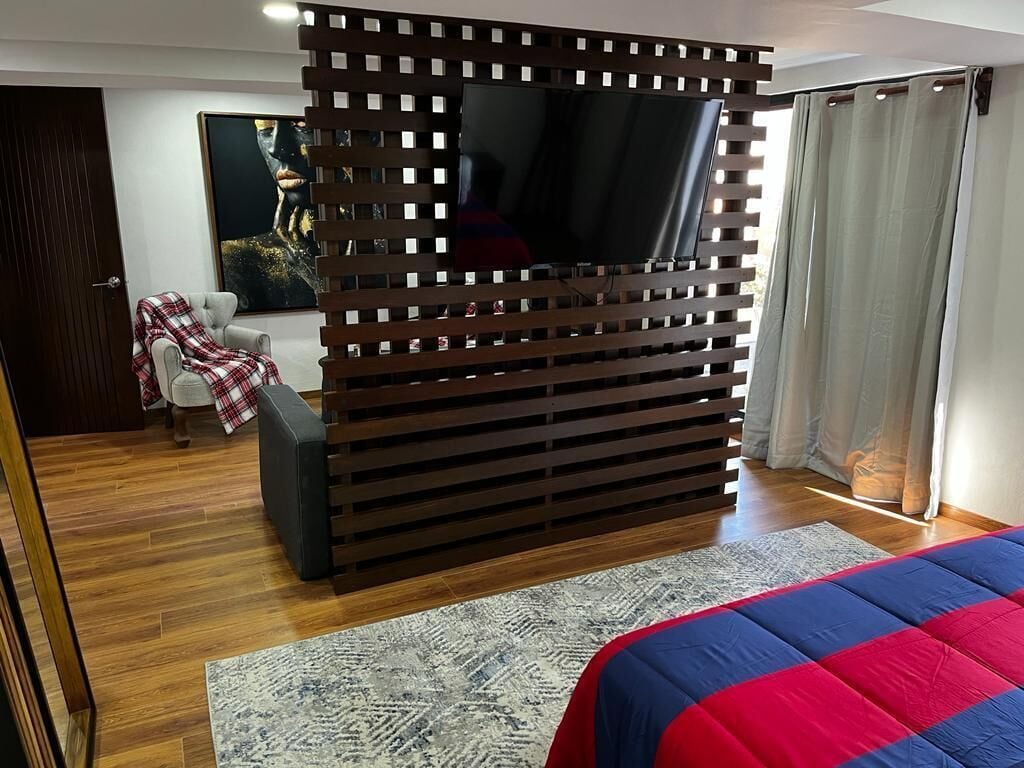 Un dormitorio moderno con cama, televisor y un mamparo.