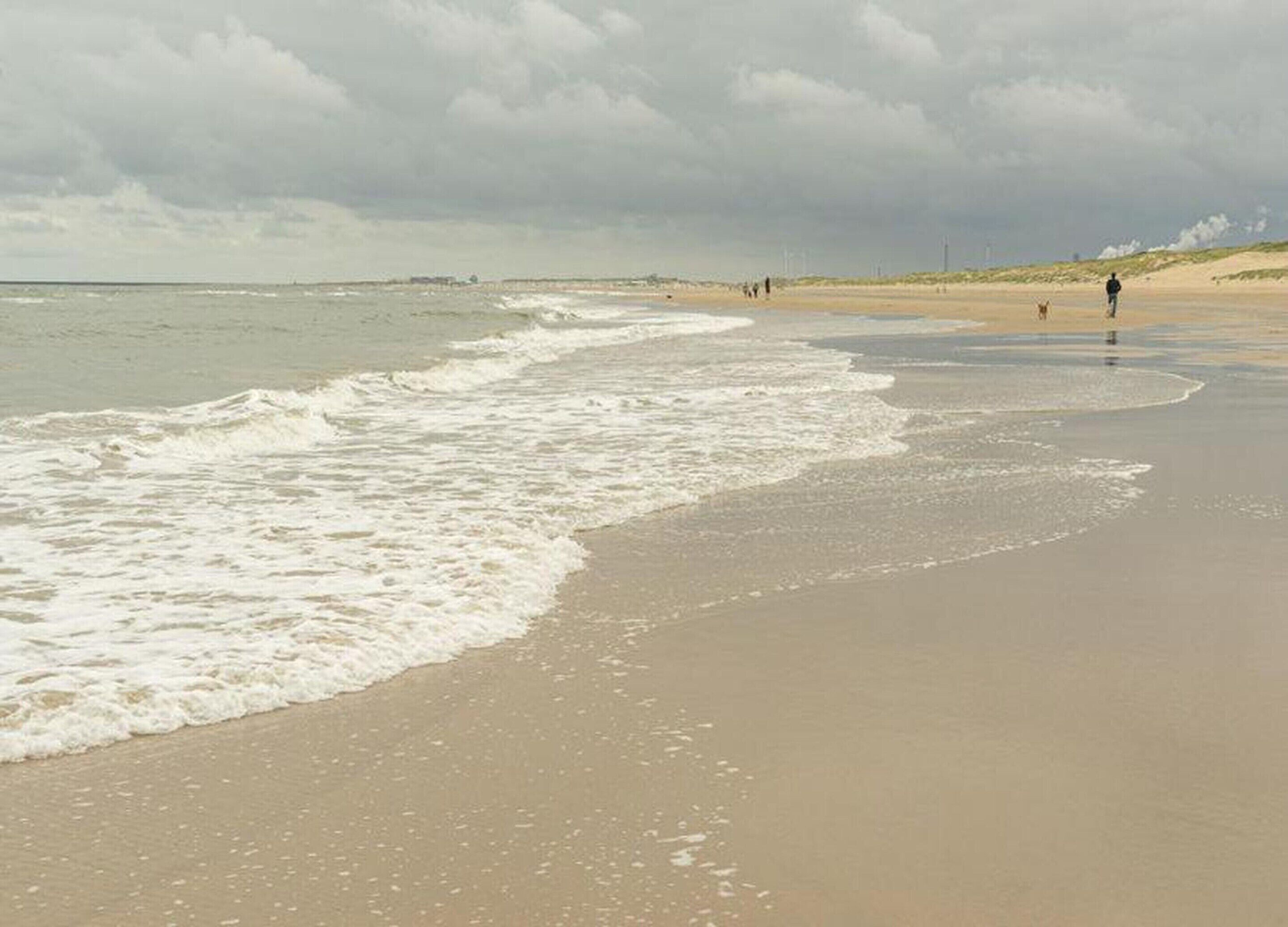 House | View from property