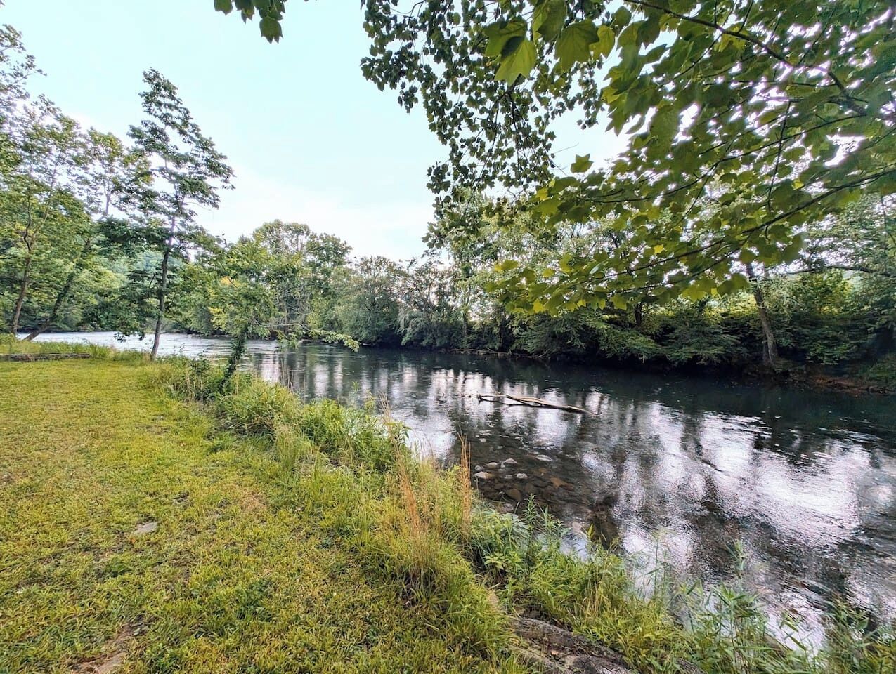A calm river with a grassy bank and trees in the background.
