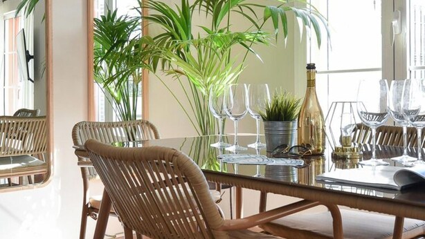 Un comedor con sillas de mimbre, una mesa de vidrio y plantas en macetas.