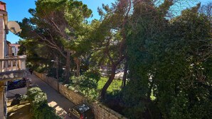 Une rue étroite bordée d’arbres et un immeuble sur lequel est installée une antenne parabolique.