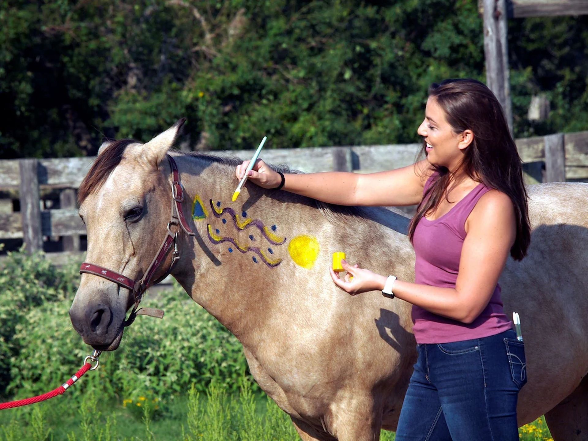 Een vrouw schildert een paard.