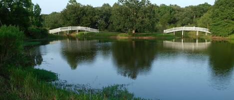 A serene lake with two white bridges.