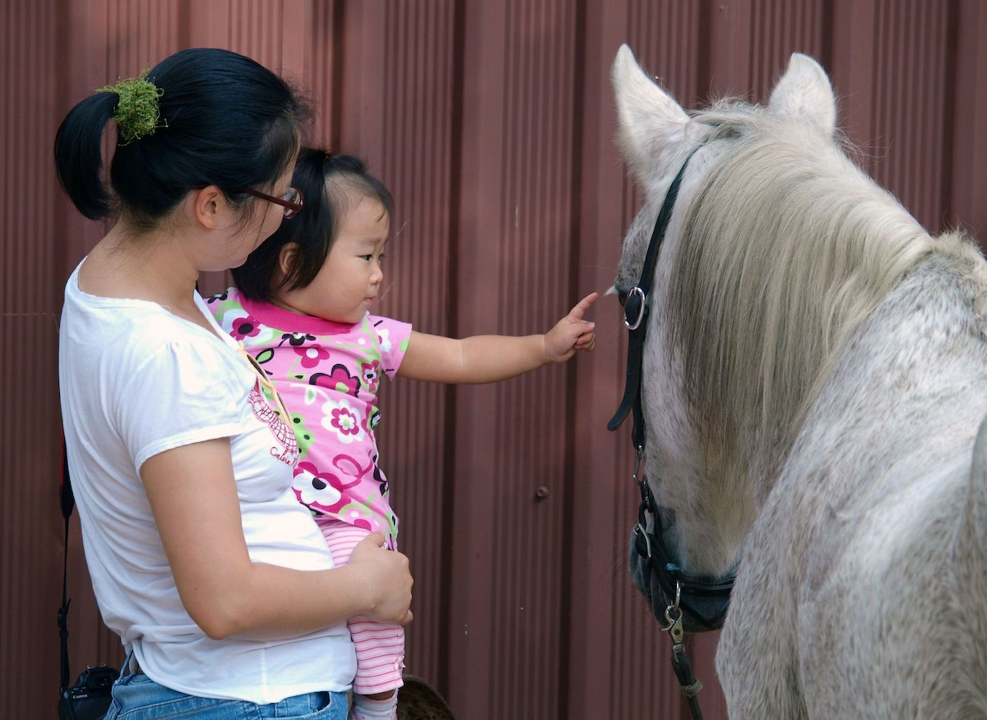 Une femme tenant un enfant, en train d’interagir avec un cheval.