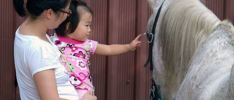 Une femme tenant un enfant, en train d’interagir avec un cheval.