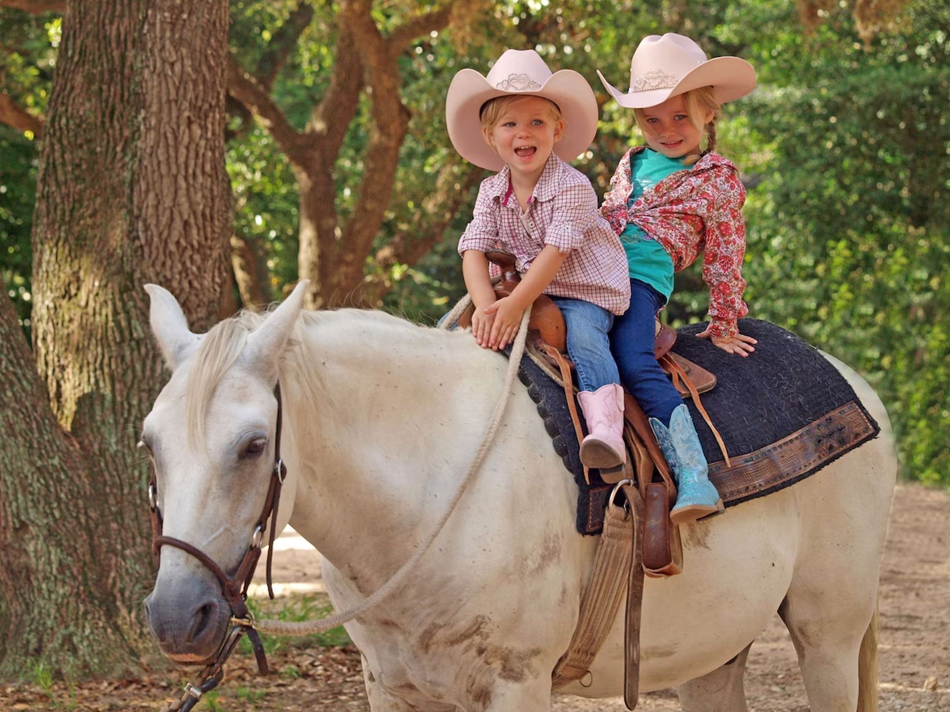 Twee kinderen rijden op een witte paard met zadel, in een bebost gebied.