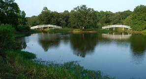 Miscellaneous - Sunset Pond Private Cabin with Private Hot Tub & options to experience our Texas Safari! (Cat Spring)