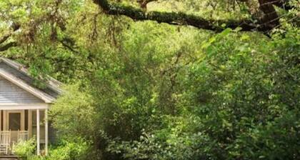 Bluebonnet Bungalow with Private Hot Tub & options to enjoy fun Exotic Animal Safari!