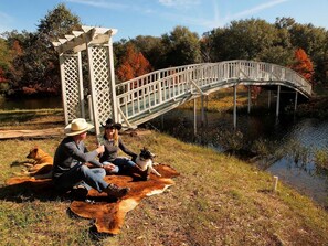 Overnatningsstedets område