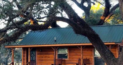 Tranquility Cabin Surrounded By Live Oak Trees With A Fabulous Private Hot Tub!