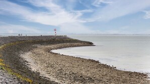 A coastal landscape with a rocky shoreline, a lighthouse, and a distant city skyline under a partly cloudy sky. - Beautiful Apartment With sea View (Scherpenisse)