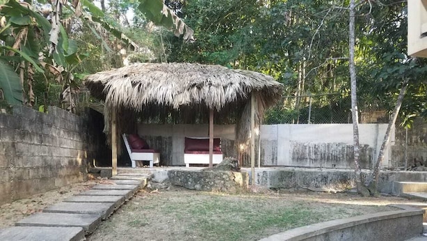 Una cabaña con techo de paja, con un camino de concreto que lleva a ella, rodeada de follaje y un muro bajo.