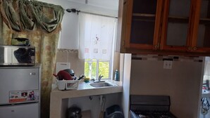 Cocina pequeña equipada con estufa, pileta y microondas.