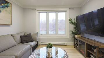 Smart TV, fireplace