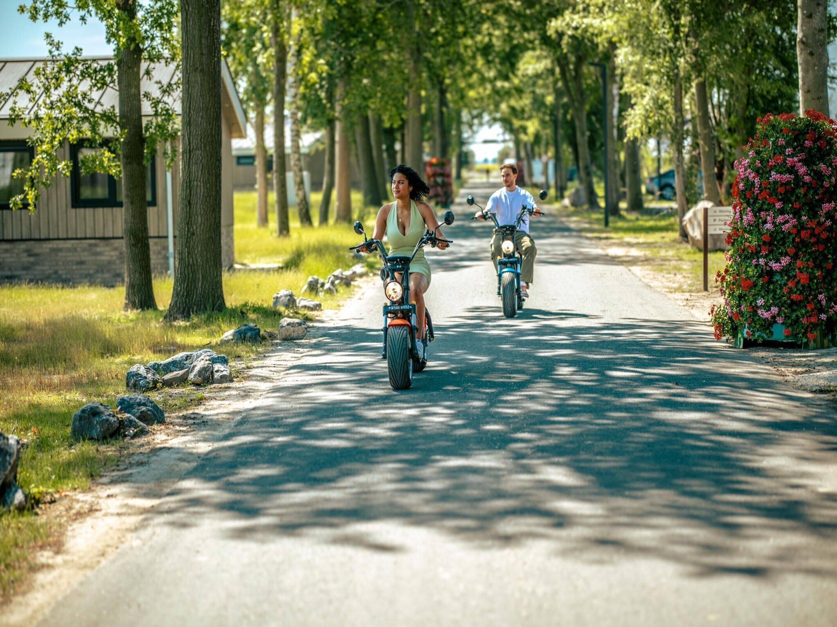 A paved road lined with trees and a flower bed on the right.