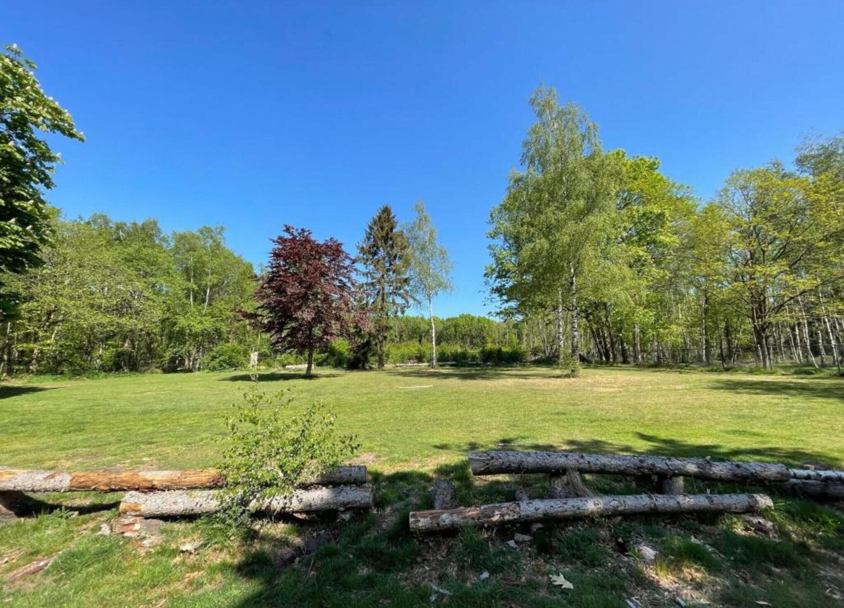 A grassy field with trees and a wooden fence.
