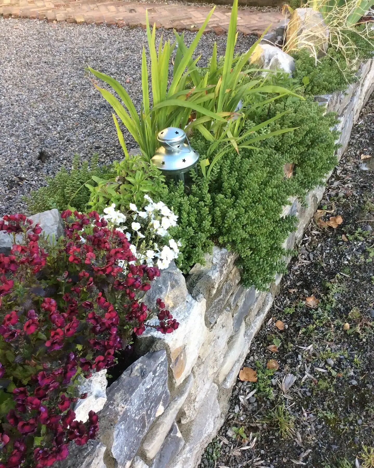 Un cantero con diversas plantas y un farol decorativo.