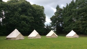 Four tents in a grassy field with dense trees in the background.