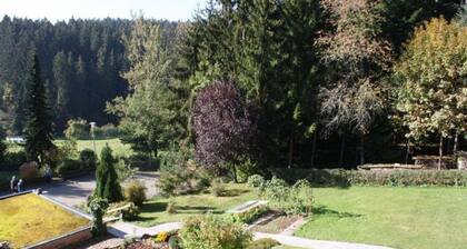 Ferienwohnung mit Balkon im Schwarzwald