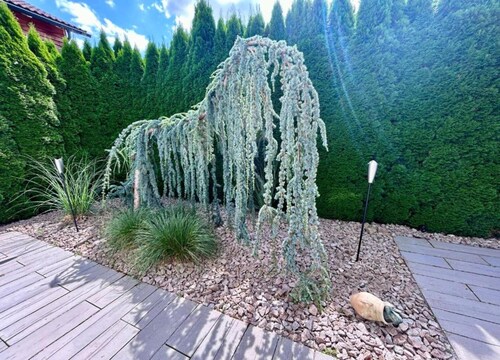 Ferienwohnung mit Balkon im Schwarzwald