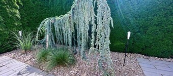Ferienwohnung mit Balkon im Schwarzwald