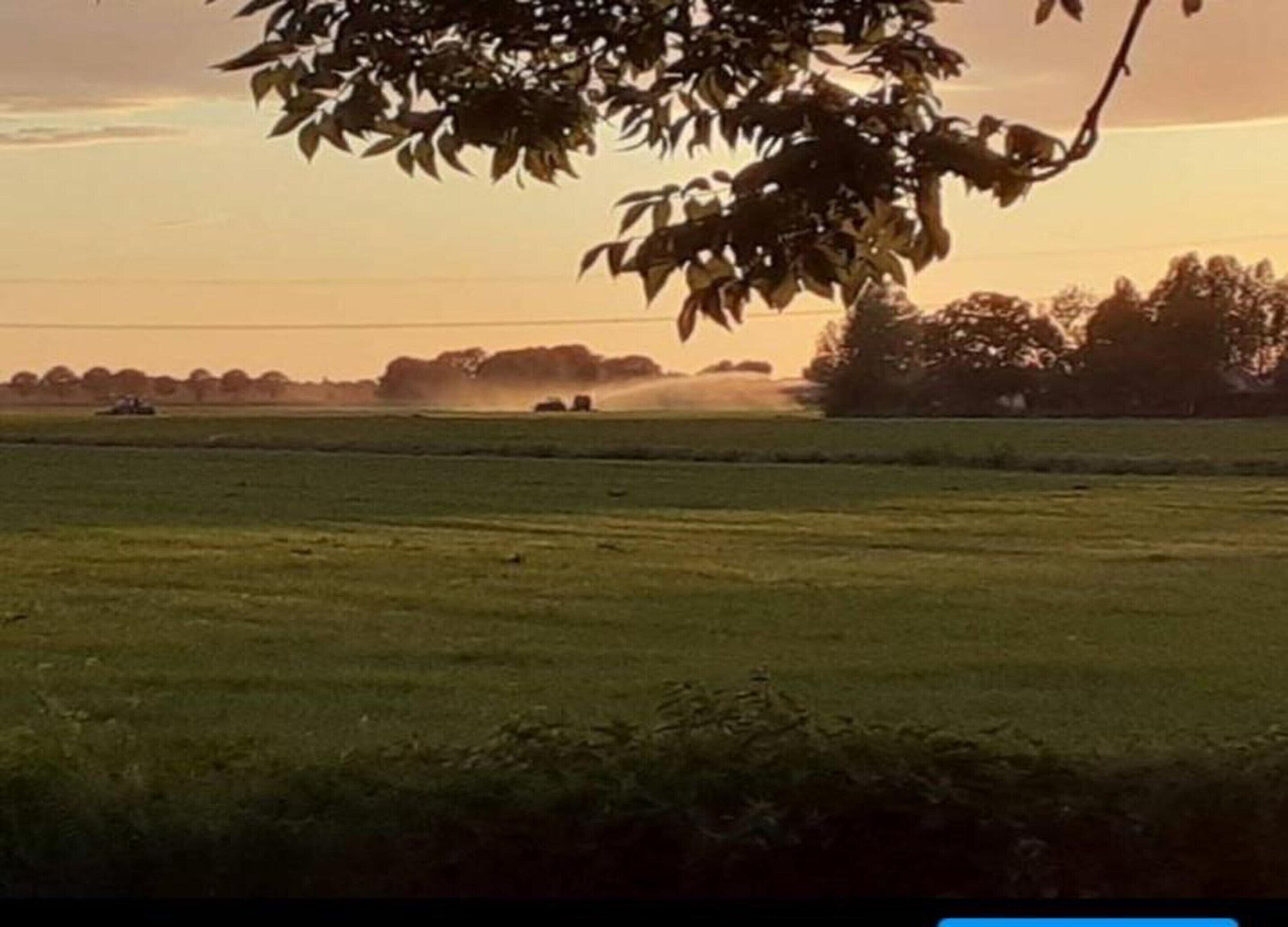 A wide, open field with a tree branch in the foreground and a distant horizon.