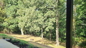 A landscaped garden with a concrete pathway, a small pond, and a variety of trees.