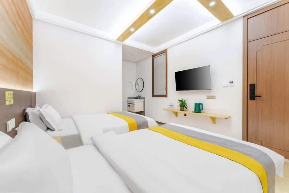 A hotel room with two beds, a TV, a wooden wardrobe, and a small shelf with a plant and a mug.